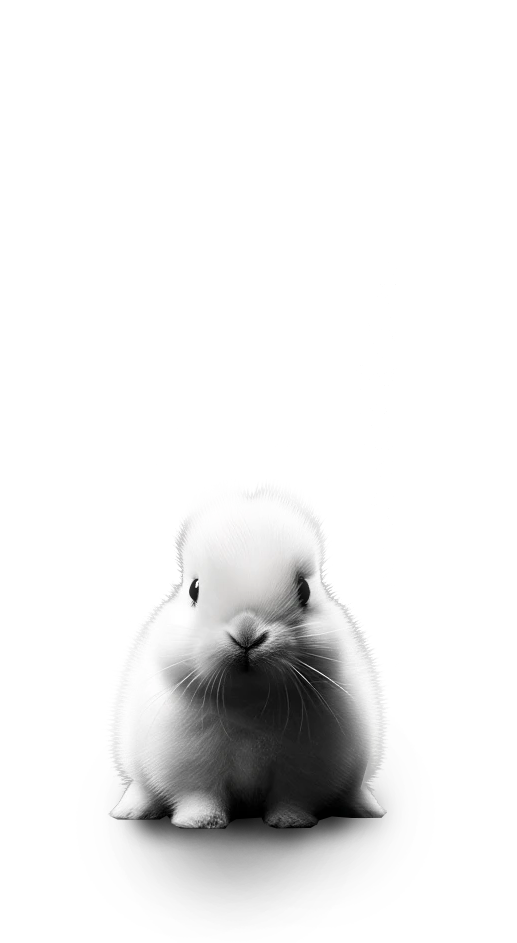 rabbit represents early stage startup